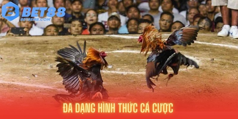 Đa dạng hình thức cá cược